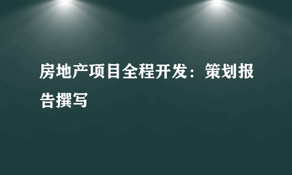 房地产项目全程开发：策划报告撰写