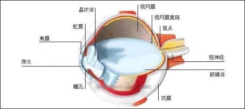 迷走神经紧张症