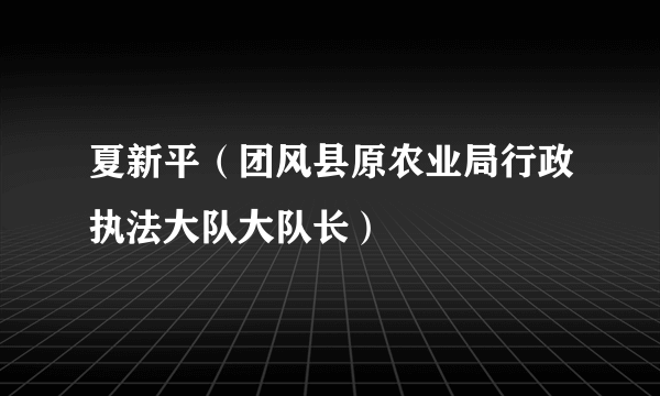 夏新平（团风县原农业局行政执法大队大队长）