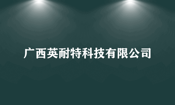 广西英耐特科技有限公司