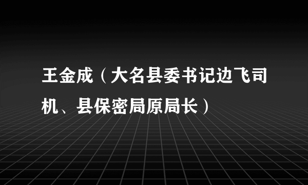 王金成（大名县委书记边飞司机、县保密局原局长）