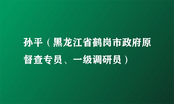 孙平（黑龙江省鹤岗市政府原督查专员、一级调研员）