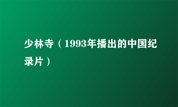 少林寺（1993年播出的中国纪录片）