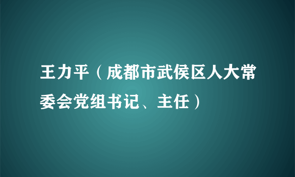 王力平（成都市武侯区人大常委会党组书记、主任）