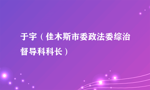 于宇（佳木斯市委政法委综治督导科科长）