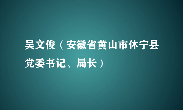 吴文俊（安徽省黄山市休宁县党委书记、局长）