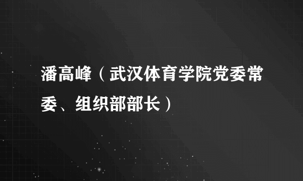 潘高峰（武汉体育学院党委常委、组织部部长）