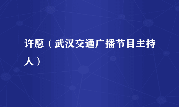 许愿（武汉交通广播节目主持人）