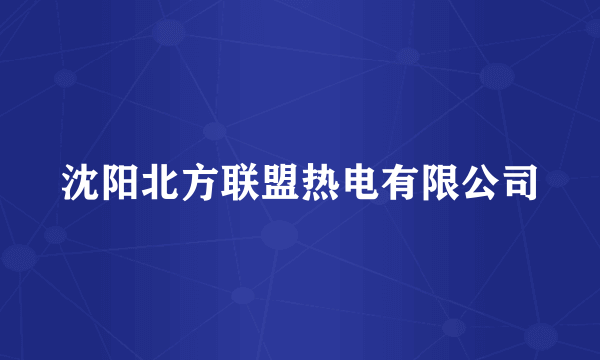 沈阳北方联盟热电有限公司