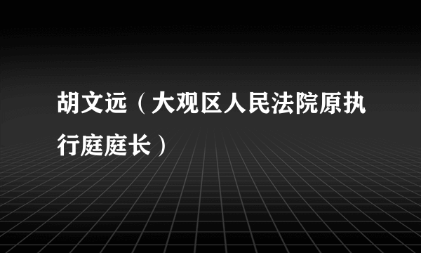 胡文远（大观区人民法院原执行庭庭长）