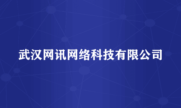 武汉网讯网络科技有限公司