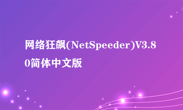 网络狂飙(NetSpeeder)V3.80简体中文版