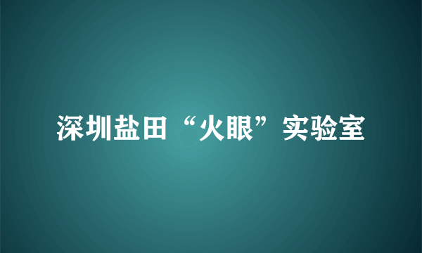 深圳盐田“火眼”实验室