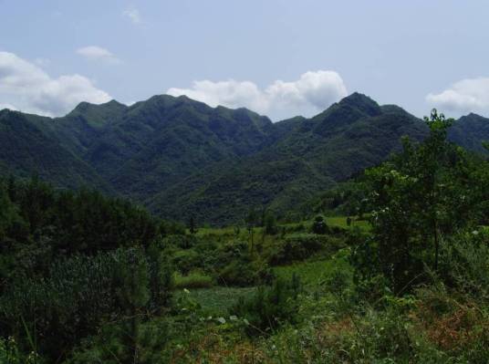 凤凰山（湖北省丹江口市凤凰山）