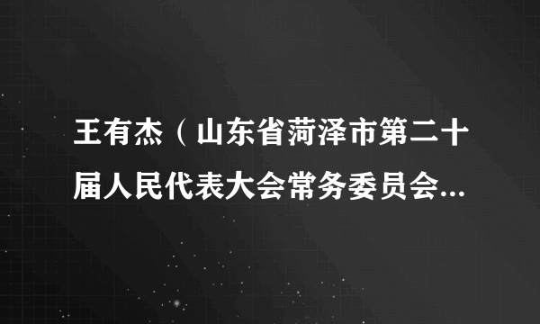 王有杰（山东省菏泽市第二十届人民代表大会常务委员会代表资格审查委员会原副主任委员）