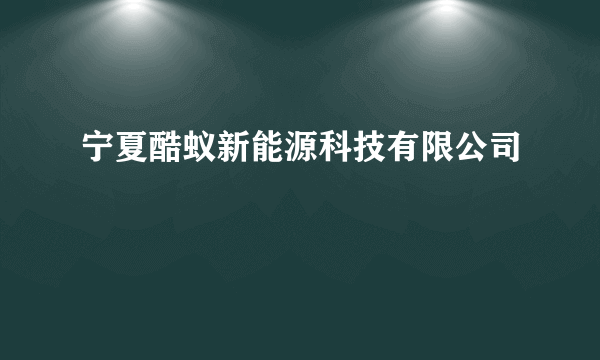 宁夏酷蚁新能源科技有限公司