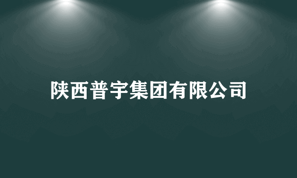 陕西普宇集团有限公司