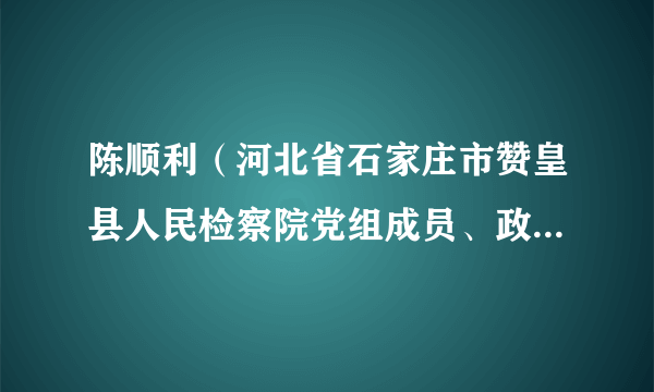 陈顺利（河北省石家庄市赞皇县人民检察院党组成员、政治部主任）