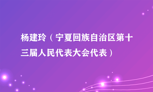 杨建玲（宁夏回族自治区第十三届人民代表大会代表）