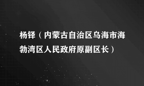 杨铎（内蒙古自治区乌海市海勃湾区人民政府原副区长）