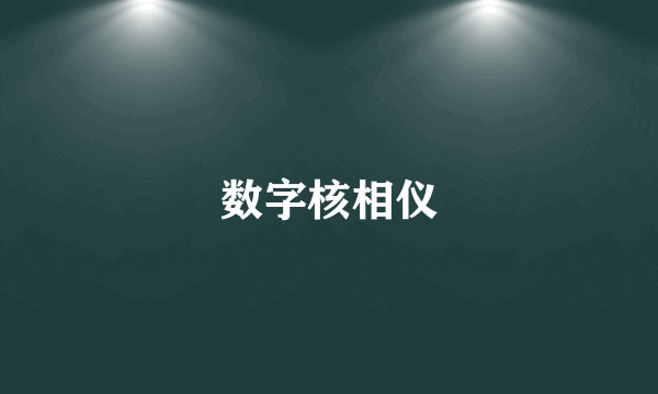 数字核相仪