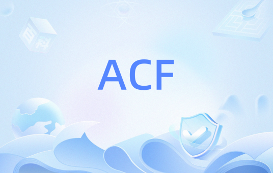 ACF（计算实验金融）