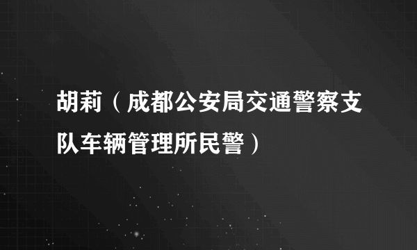 胡莉（成都公安局交通警察支队车辆管理所民警）