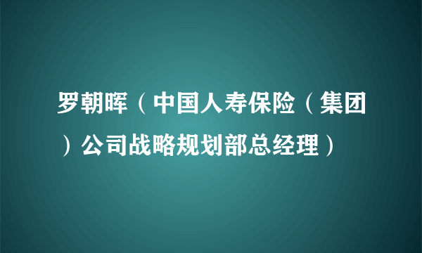 罗朝晖（中国人寿保险（集团）公司战略规划部总经理）