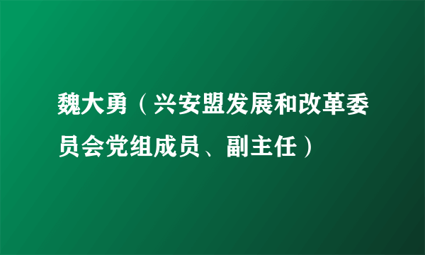 魏大勇（兴安盟发展和改革委员会党组成员、副主任）