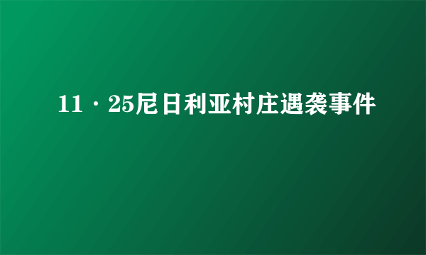 11·25尼日利亚村庄遇袭事件