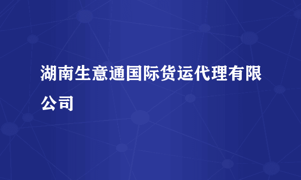 湖南生意通国际货运代理有限公司