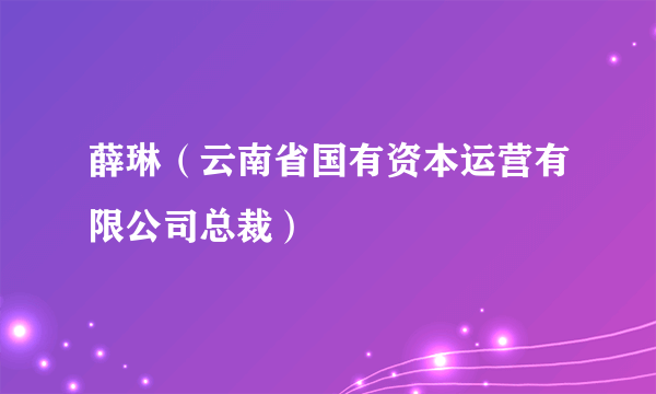 薛琳（云南省国有资本运营有限公司总裁）