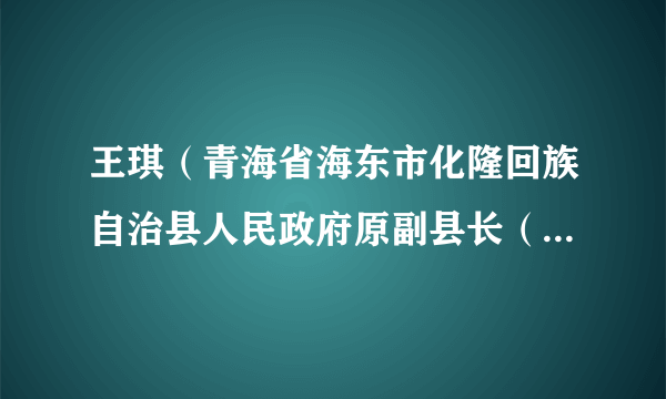 王琪（青海省海东市化隆回族自治县人民政府原副县长（挂职））