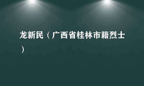 龙新民（广西省桂林市籍烈士）