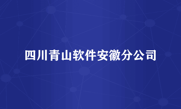 四川青山软件安徽分公司