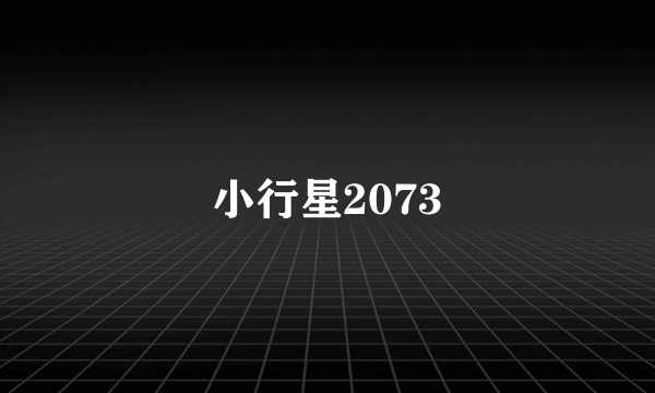 小行星2073