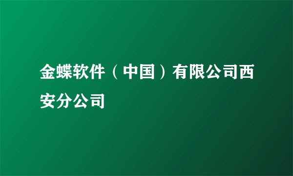 金蝶软件（中国）有限公司西安分公司