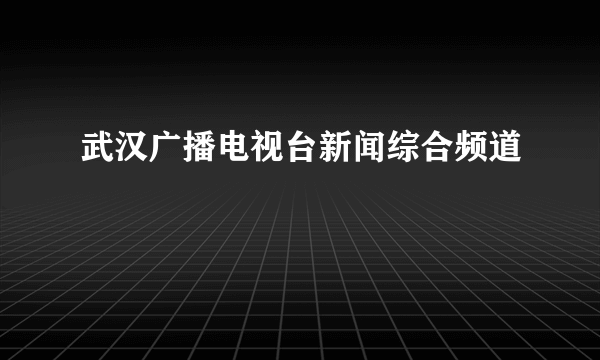 武汉广播电视台新闻综合频道