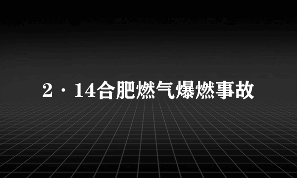 2·14合肥燃气爆燃事故