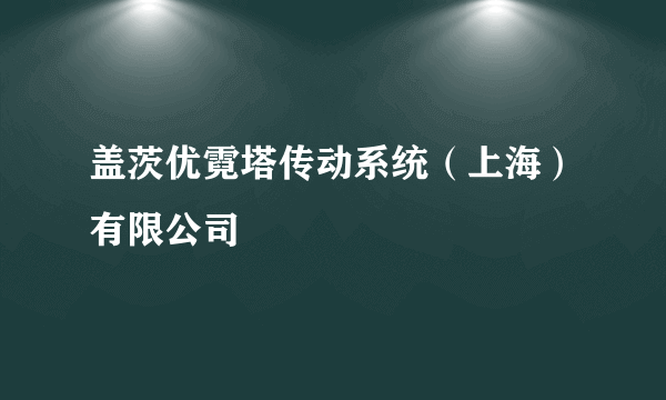 盖茨优霓塔传动系统（上海）有限公司