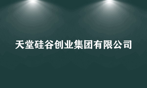 天堂硅谷创业集团有限公司