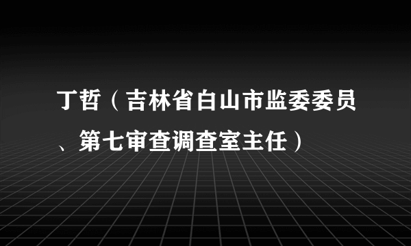 丁哲（吉林省白山市监委委员、第七审查调查室主任）