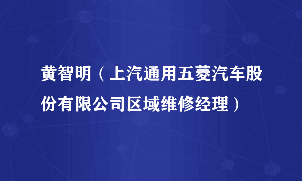 黄智明（上汽通用五菱汽车股份有限公司区域维修经理）