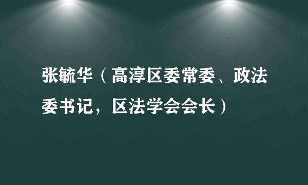 张毓华（高淳区委常委、政法委书记，区法学会会长）