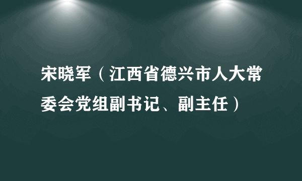 宋晓军（江西省德兴市人大常委会党组副书记、副主任）