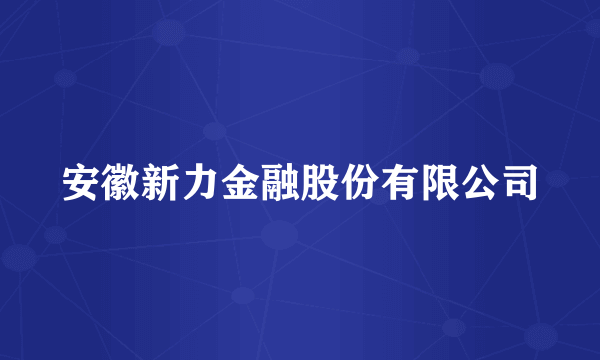 安徽新力金融股份有限公司