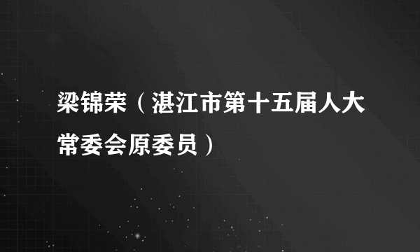 梁锦荣（湛江市第十五届人大常委会原委员）