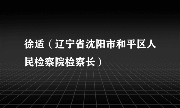 徐适（辽宁省沈阳市和平区人民检察院检察长）