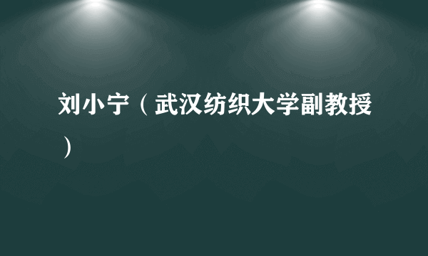 刘小宁（武汉纺织大学副教授）