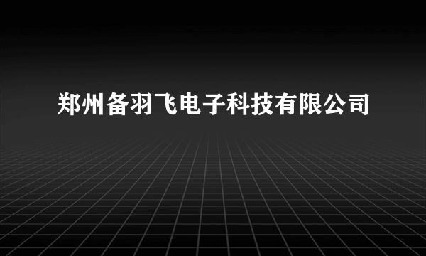 郑州备羽飞电子科技有限公司